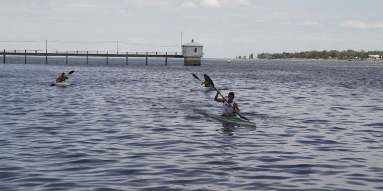 Foto: Maggie Ojcius/Mediamza.com