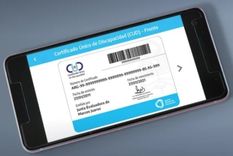 se lanzo el certificado unico de discapacidad en formato digital: como se obtiene