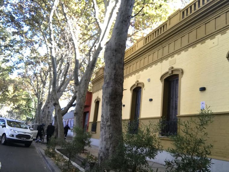 Foto: Gentileza lector MDZ