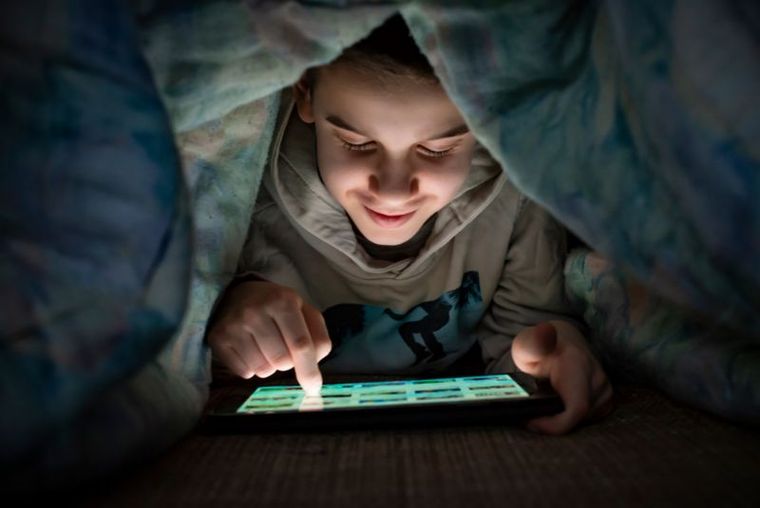 La sobreexposición digital altera los sistemas de recompensa del cerebro. La sobreexposición digital altera los sistemas de recompensa del cerebro.