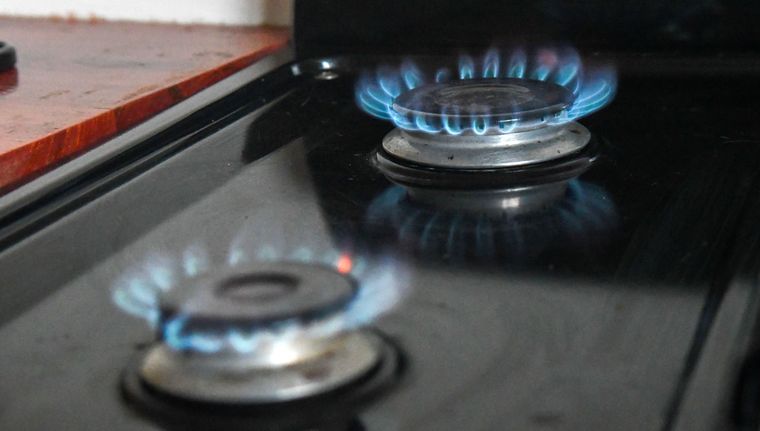 El Gobierno Nacional va a realizar cruces de información para revisar las inscripciones al RASE Foto: Santiago Tagua/MDZ