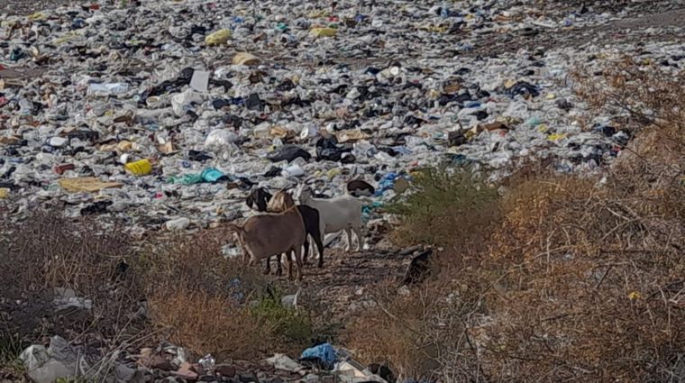 La Policía Rural intervino un establecimiento clandestino por incumplimientos bromatológicos, maltrato animal y abandono de menores.&nbsp;