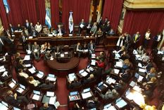 el senado aprobo el proyecto de ley antidespidos