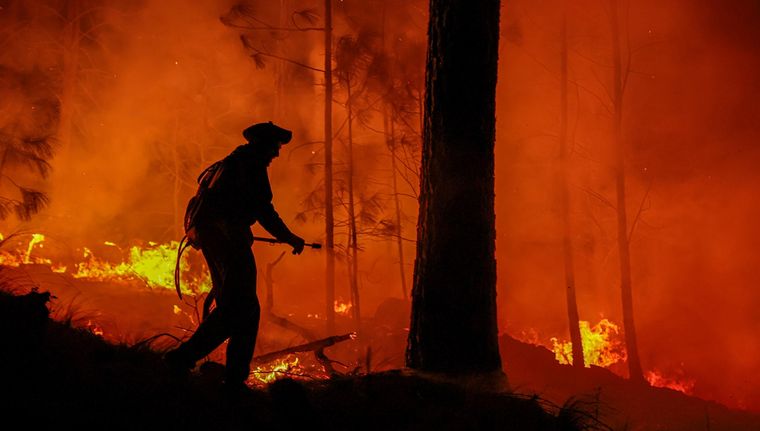 Al menos 700 bomberos trabajan en las zonas afectadas Foto: EFE