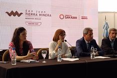 mineria: duros reclamos por la incertidumbre y esperanza en el cobre y litio