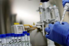 Genética laboratorio El equipo de genetistas pertenece a Gran Bretaña. Foto: Efe.