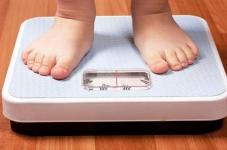 Obesidad infantil Aumentaron los casos por el aislamiento Foto: MDZ