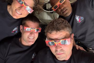 MDZol | luna artemis 4