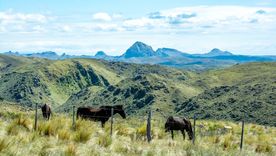 Los pueblos de San Luis ofrecen ríos frescos y paisaje serrano para vivir el verano. Los pueblos de San Luis ofrecen ríos frescos y paisaje serrano para vivir el verano.