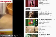 viral: el gato que baila asereje es furor en las redes sociales