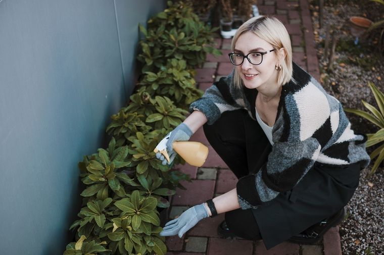 El gusano del durazno y la mosca son dos plagas muy frecuentes y dañinas. Foto: Foto de Floral creado por freepik - www.freepik.es