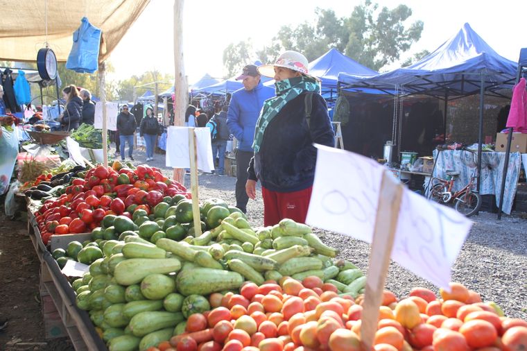 Reina la incertidumbre en torno a los precios de frutas y verduras. Foto ilustrativa Foto: Maximiliano Ríos/MDZ