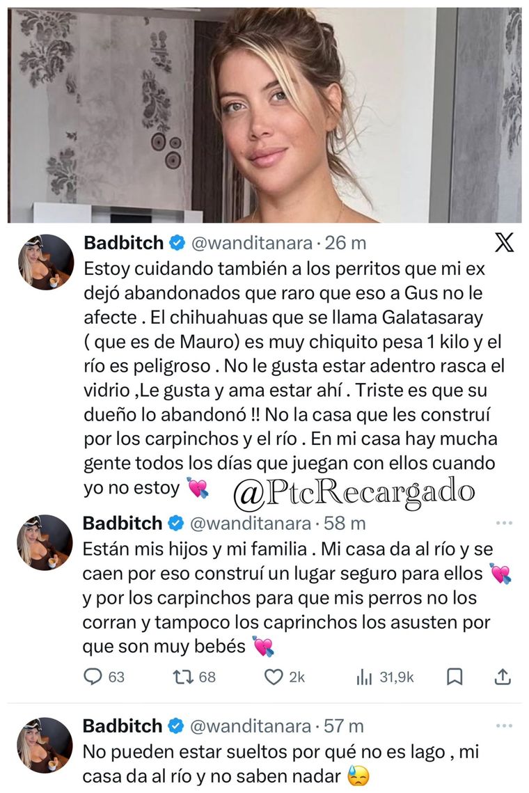 Defensa total de Wanda Nara tras ser acusada de abandonar a sus perros. Defensa total de Wanda Nara tras ser acusada de abandonar a sus perros.