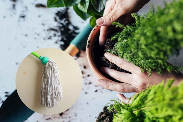 JARDÍN EL TRAPEADOR PUEDE SER REUTILIZADO EN EL JARDÍN. Foto: SHUTERSTOCK