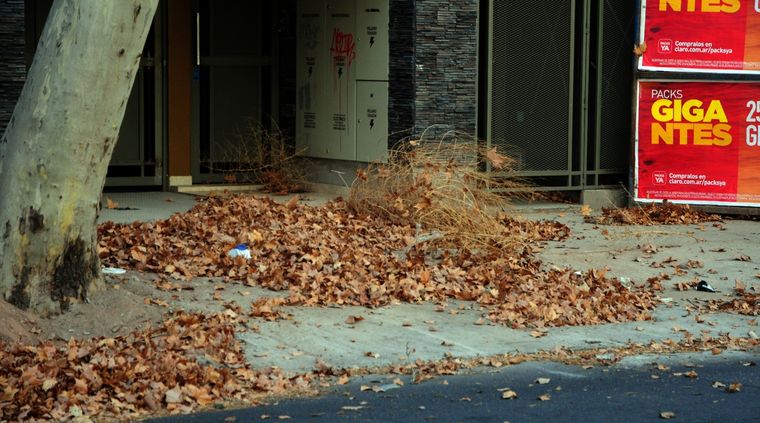 El viento Zonda se sentirá en 3 provincias argentinas Foto: ALF PONCE MERCADO / MDZ