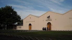 La Bodega elegida para la gala de los Martín Fierro. La Bodega elegida para la gala de los Martín Fierro.