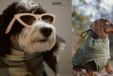 Foto: Instagram Zara Official