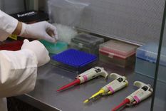 Una investigación del Conicet y Harvard detectó un linaje genético exclusivo del centro argentino con más de 8.500 años de continuidad.