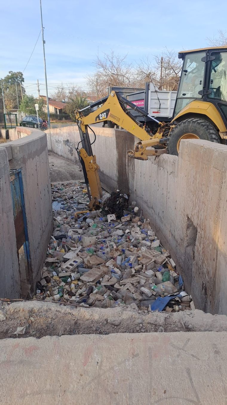 El 80% de los residuos hallados corresponde a basura domiciliaria y tres de cada cuatro elementos son envases PET que luego se envían a reciclar. El 80% de los residuos hallados corresponde a basura domiciliaria y tres de cada cuatro elementos son envases PET que luego se envían a reciclar.