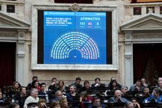 La iniciativa&nbsp;será analizada por el Senado antes de convertirse en ley. &nbsp;