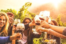 Amigos de brindis. Foto: Gentileza