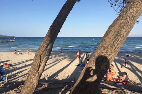 Conocé el thriller tuitero que tiene fascinado a todo el mundo