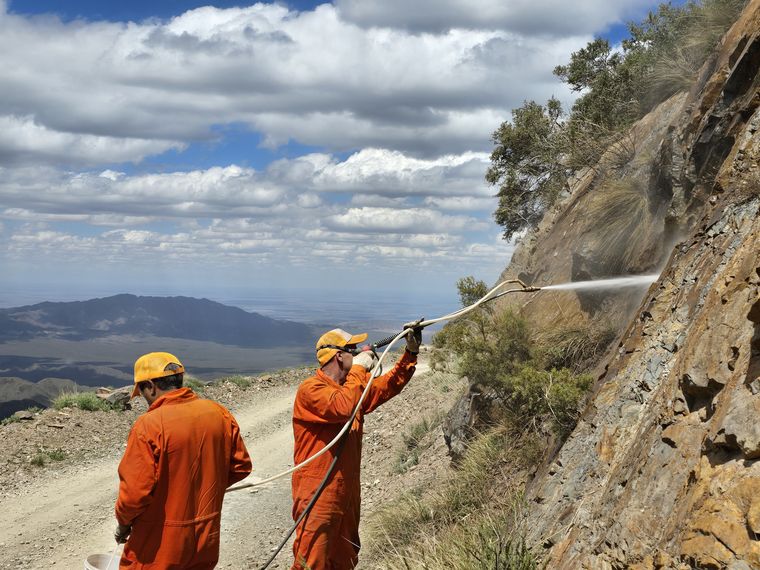 Claudio Mellimaci lideró la misión de la Fundación Pro Montaña para recuperar la Reserva Villavicencio de las pintadas vandálicas.