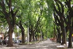 la alameda tendra un aniversario capicua y virtual la alameda tendra un aniversario capicua y virtual