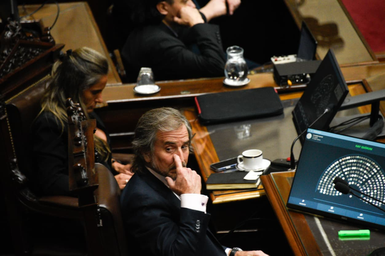 Benegas Lynch salió en defensa del Gobierno