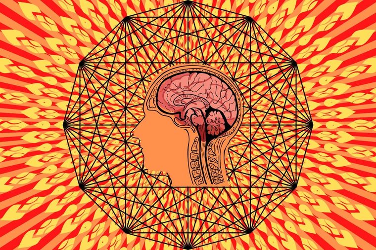 El test visual que pondrá a prueba tus hemisferios cerebrales Test visual Foto: Canva