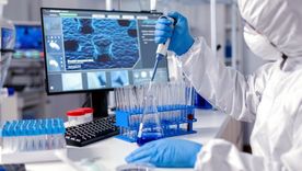 Imagen ilustrativa. Foto: FreePic. Imagen ilustrativa. Foto: FreePic.