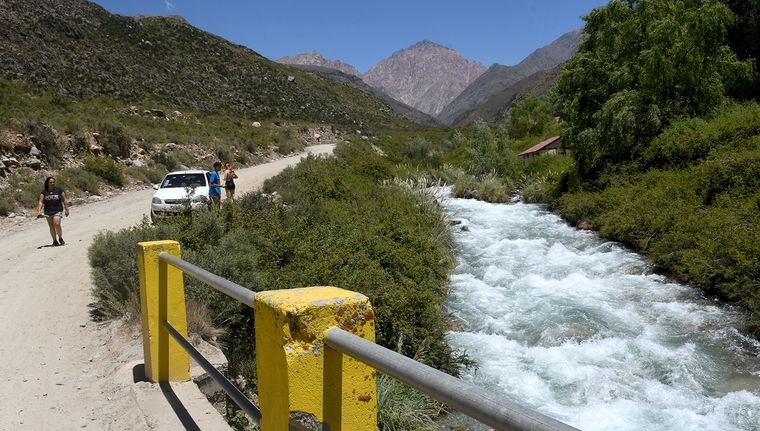 El Arroyo Grande, en El Manzano, está invadido por la plaga. Foto: Walter Moreno/Mdz