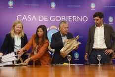 Se realizó la apertura de sobres para la obra del Tren de Cercanías. En la foto, Hebe Casado, Marité Baduí, Alfredo Cornejo y Natalio Mema. Se realizó la apertura de sobres para la obra del Tren de Cercanías. En la foto, Hebe Casado, Marité Baduí, Alfredo Cornejo y Natalio Mema.
