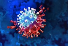 Las autoridades sanitarias de Reino Unido y Estados Unidos advirtieron sobre la aparición de dos nuevas variantes de Covid﻿.