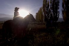 Cabalgata entre viñedos: la experiencia de lujo y aventura en el Valle de Uco