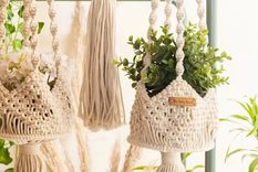 No alcanza con solo tener plantas que absorban la humedad sino que hace falta seguir los pasos que propone esta nota para hacer más eficiente este proceso. Foto: Crédito de la imagen: That Boho Living Shop