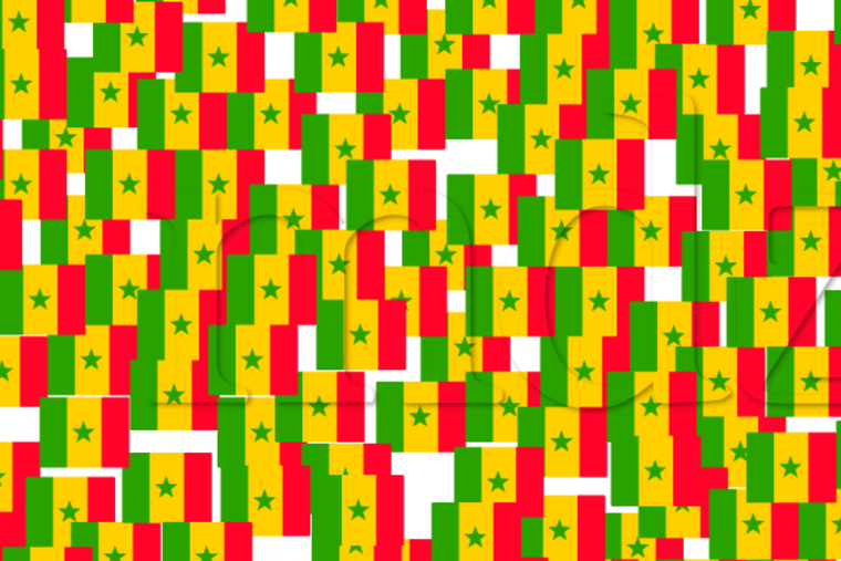 ENIGMA VISUAL ENIGMA VISUAL, RETO VISUAL, BANDERA Foto: MDZ ONLINE