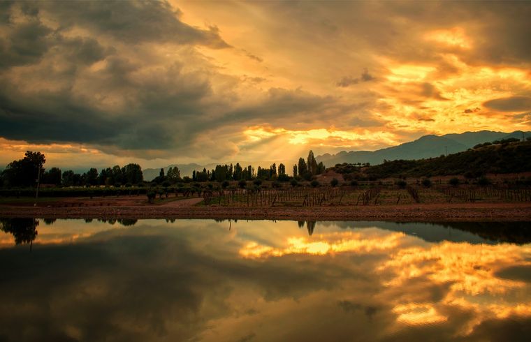 Mendoza es sede de la Asamblea de las Great Wine Capitals Foto: Bodega Durigutti