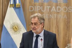 El diputado santafesino Roberto Mirabella deja su banca en el bloque de Unión por la Patria. Foto: Roberto Mirabella - X