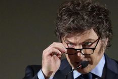 El Gobierno busca eliminar las PASO Foto: EFE