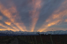 Atardecer en Mendoza. Foto de Instagram de @cacahuetito_x.x  