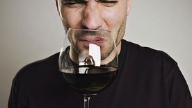 Los cinco defectos más comunes que aparecen en un vino