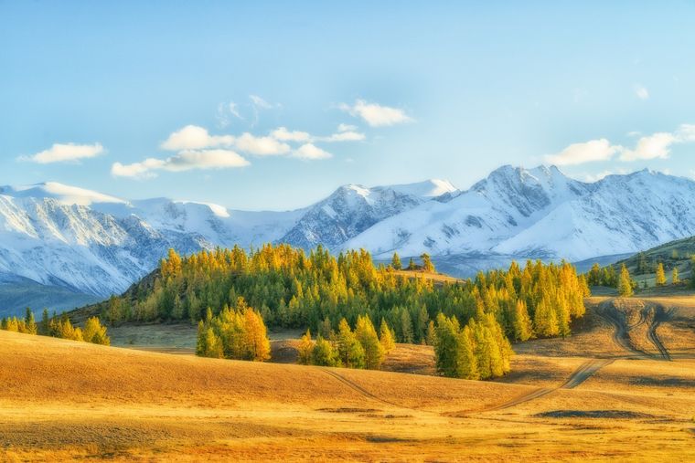 Las vasijas decoradas con patrones textiles fueron halladas en una antigua vivienda del sitio Tartas-1, en la estepa de Baraba. Las vasijas decoradas con patrones textiles fueron halladas en una antigua vivienda del sitio Tartas-1, en la estepa de Baraba.
