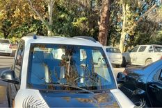 El Tito llamó la atención de quienes recorrían el Parque