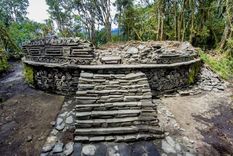 Más de 100 estructuras fueron halladas en el complejo arqueológico del Gran Pajatén, en la Amazonía de Perú Foto: Noticias Argentinas
