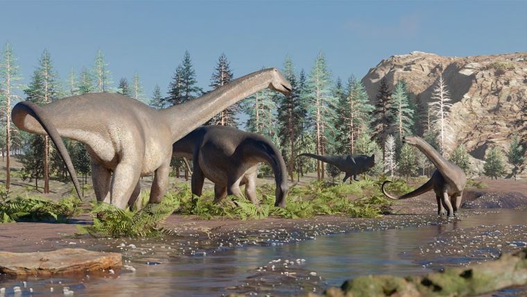 La imagen recrea cómo se veía esta especie de dinosaurio de cuello largo. Foto: CONICET