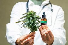 La modificación de la ley permitirá un autocultivo controlado de cannabis medicinal