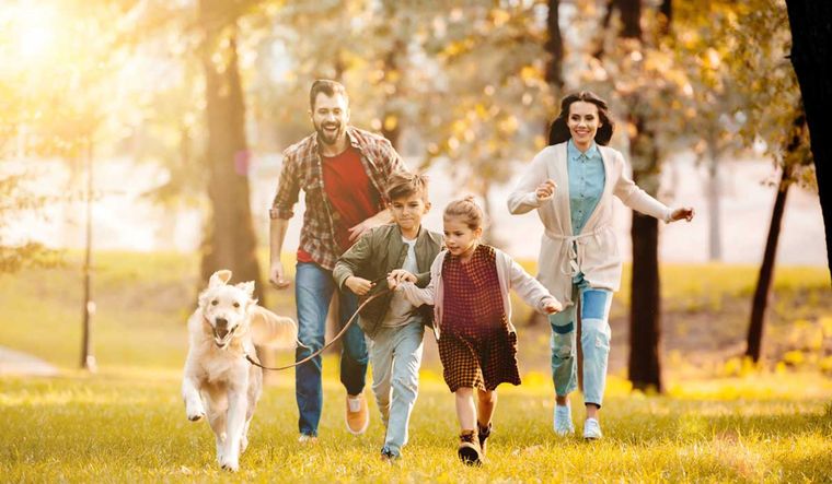 Nuestras relaciones familiares y de pareja son un reflejo de nuestro estado mental.