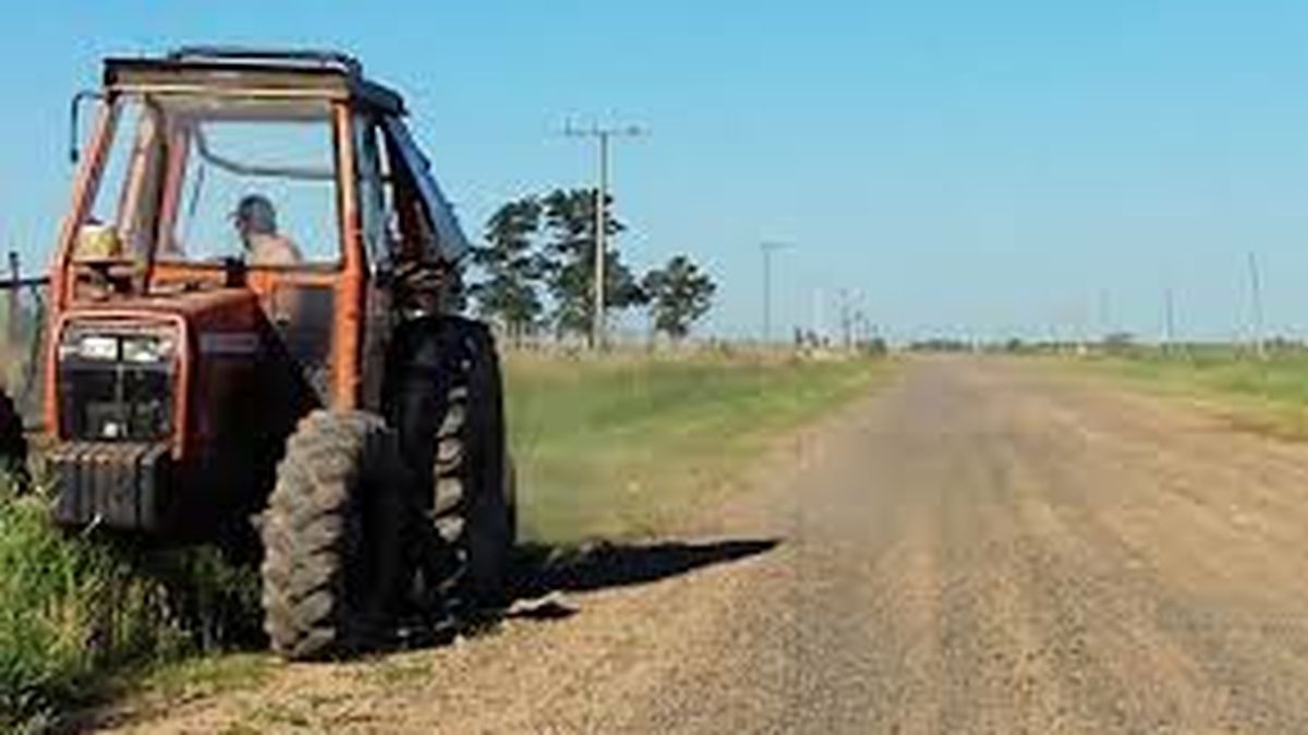 Los intendentes se van a la banquina: buscan habilitar a los municipios sembrar a la vera de las rutas