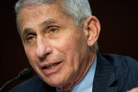 Fauci enumeró los motivos del aumento de contagios en Estados Unidos.